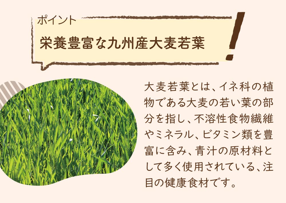 栄養豊富な九州産大麦若葉