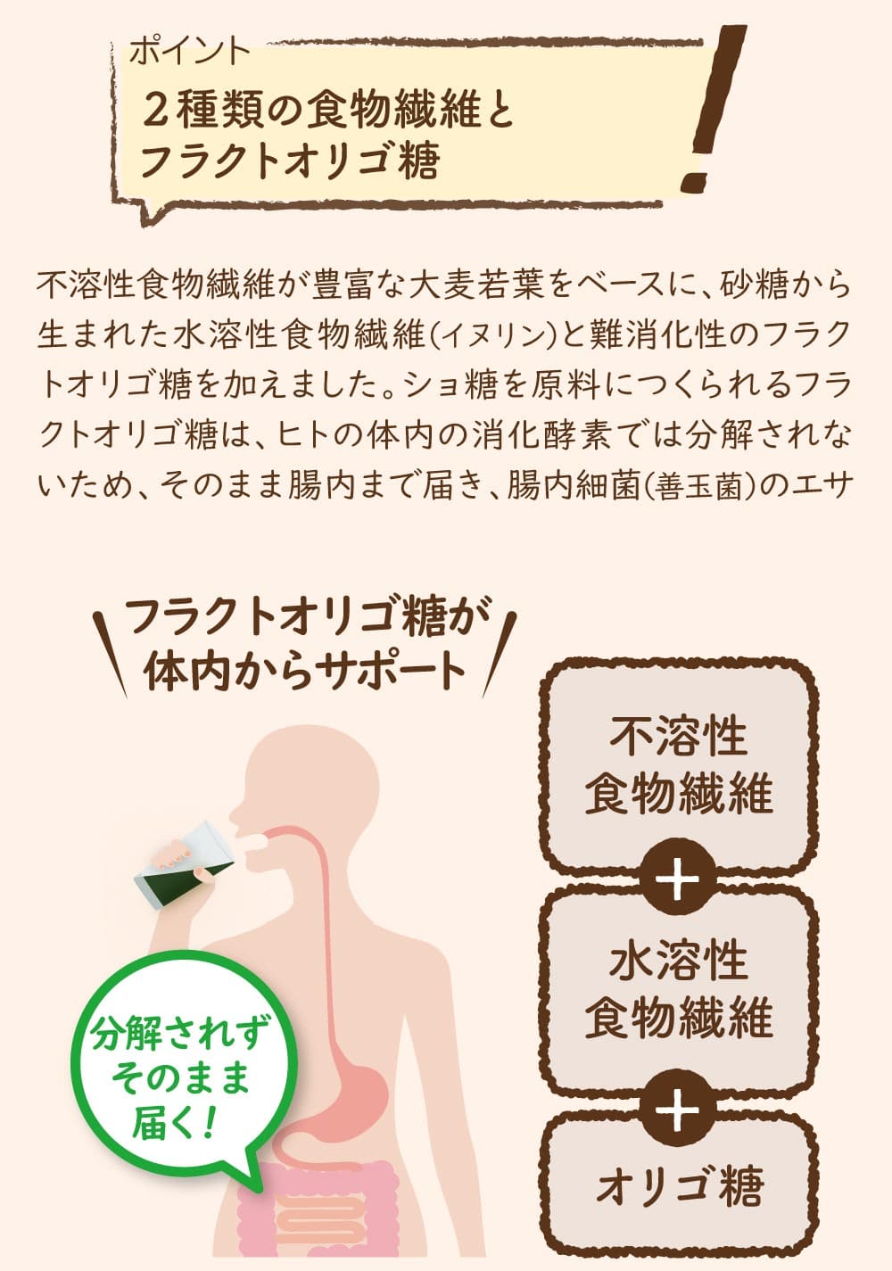 ２種類の食物繊維とフラクトオリゴ糖