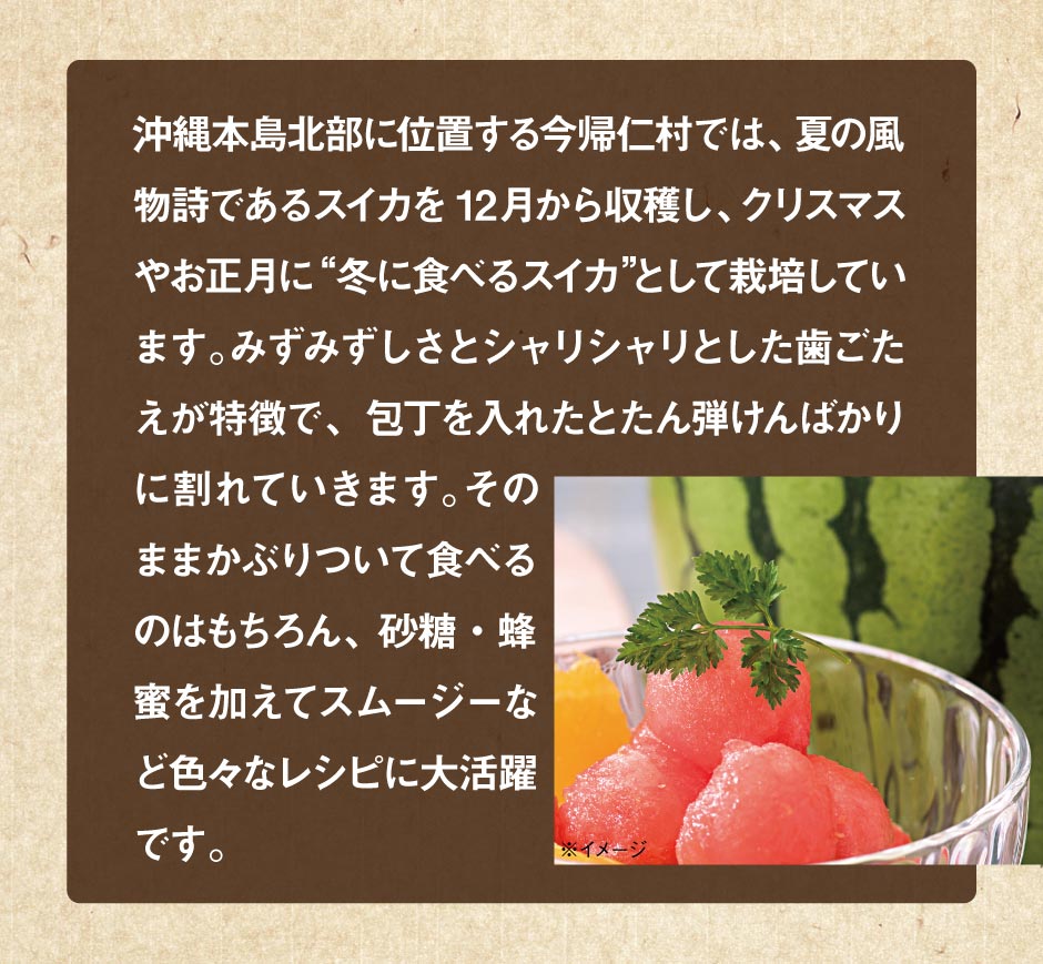今帰仁すいかについて