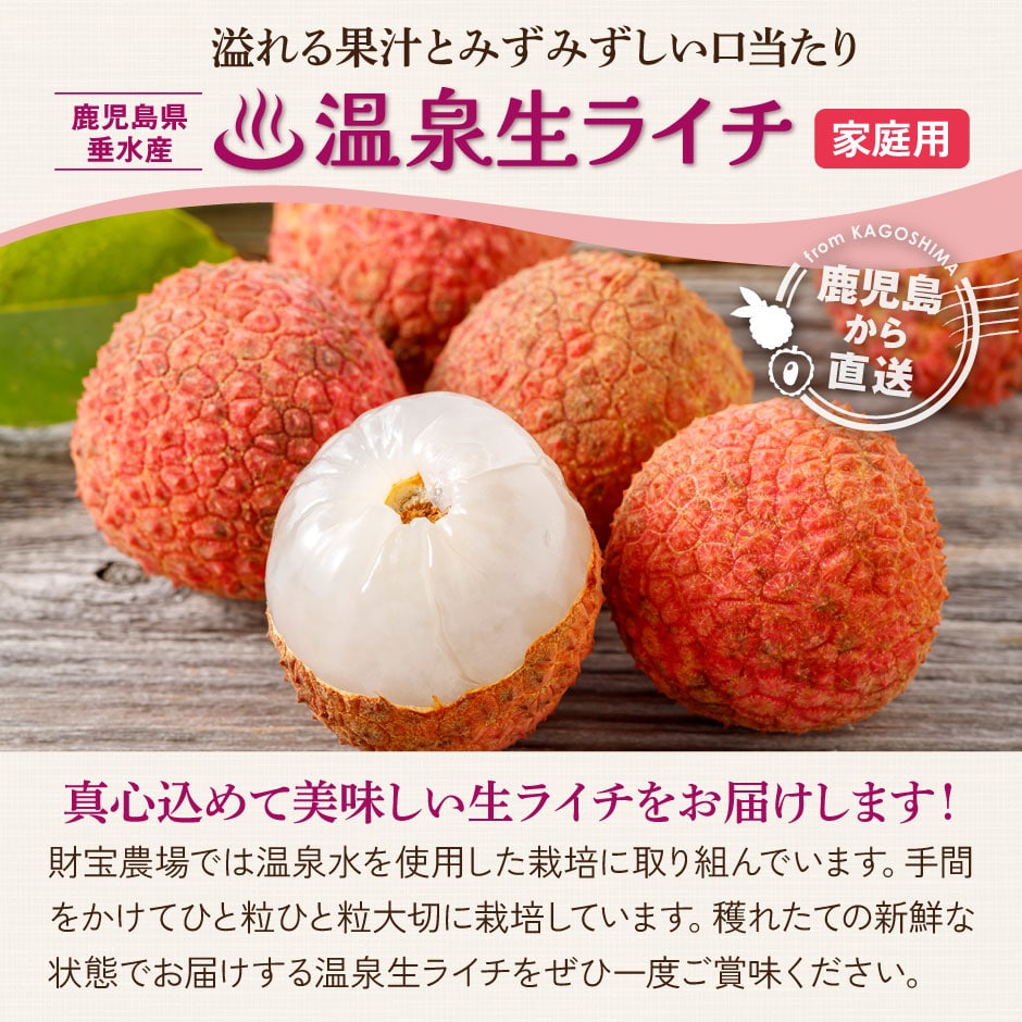 鹿児島県垂水産温泉生ライチ 家庭用[250g×2P(18～28玉)]｜水・焼酎の 