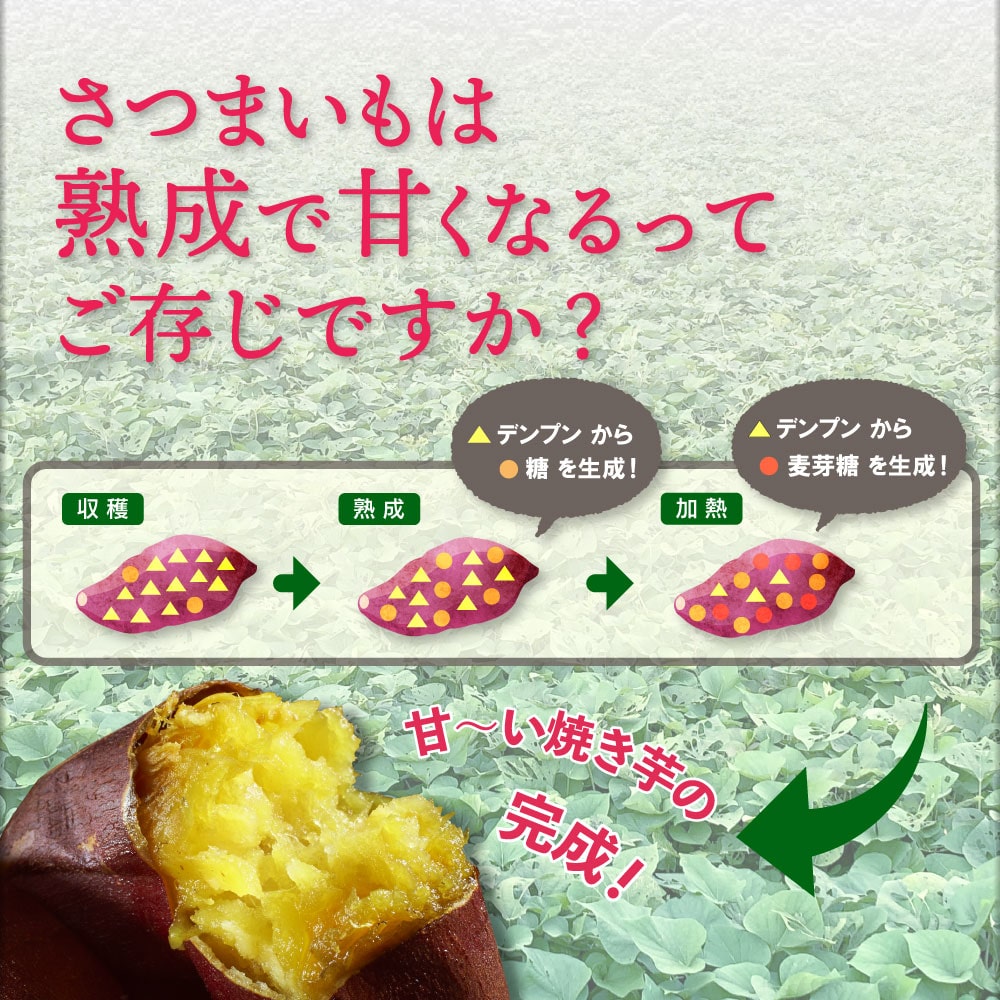 蜜焼き芋