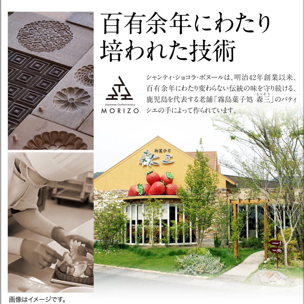 シャンティショコラ・ホワイト