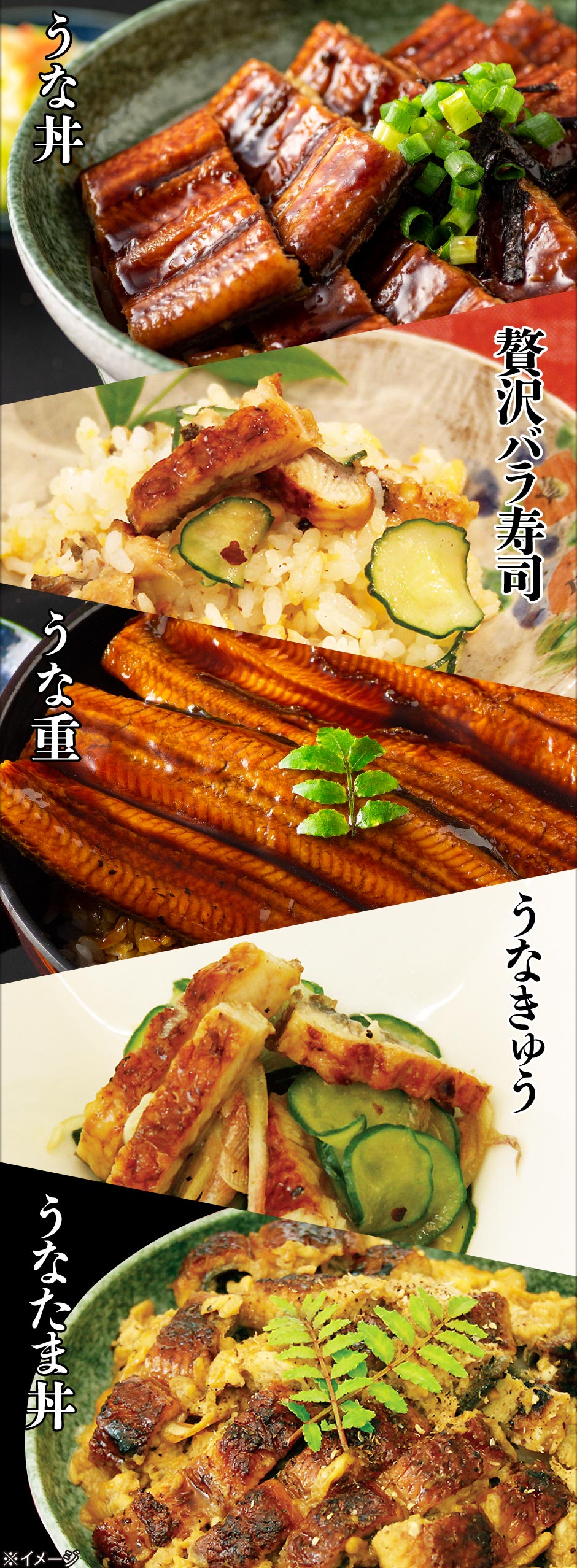 うなぎについて4