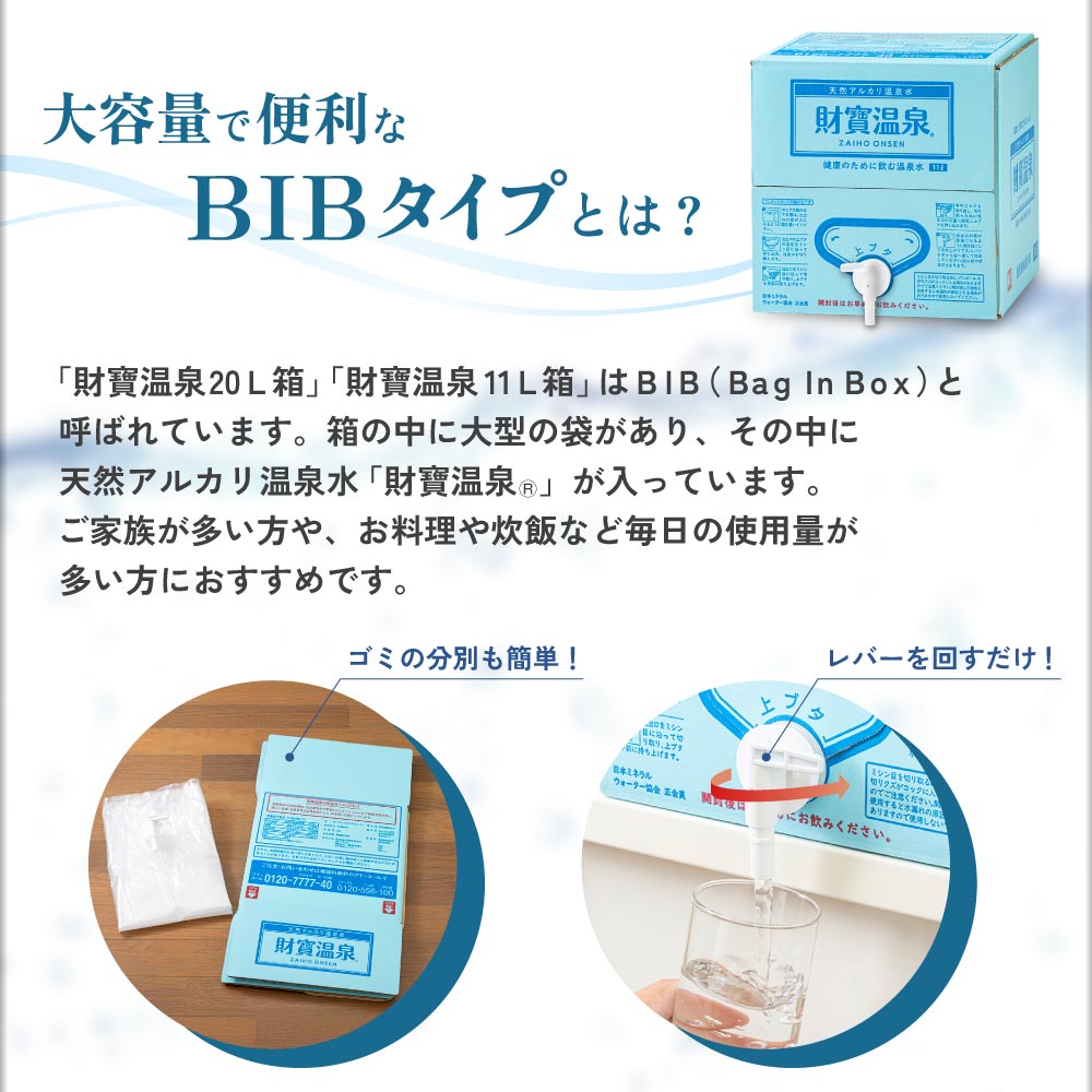 BIBについて