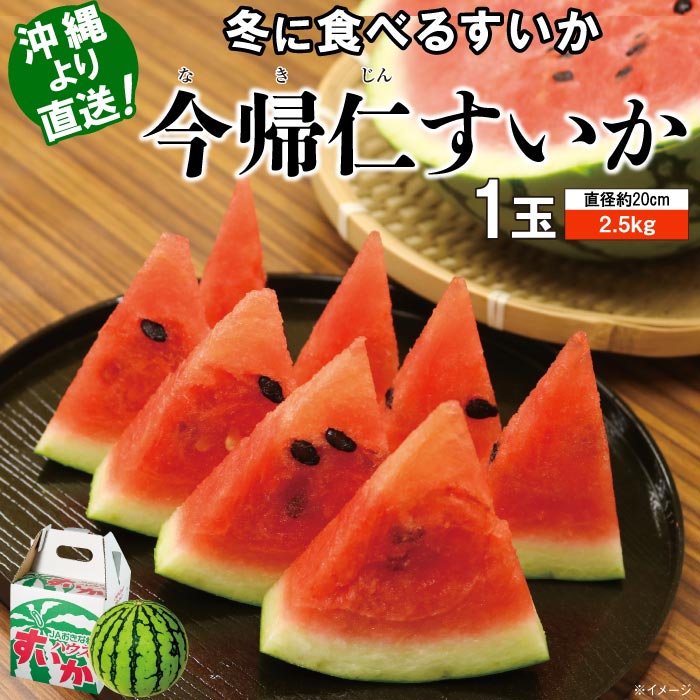 今帰仁（なきじん）すいか1玉