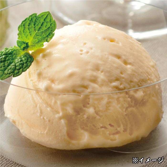 ジャージーバニラアイスクリーム[120ｍｌ×9個] 1種（バニラ9個）