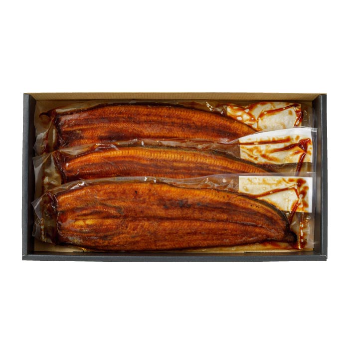 鹿児島産大うなぎ蒲焼[養殖]3尾【化粧箱入】 化粧箱入 170g×3尾（無頭）