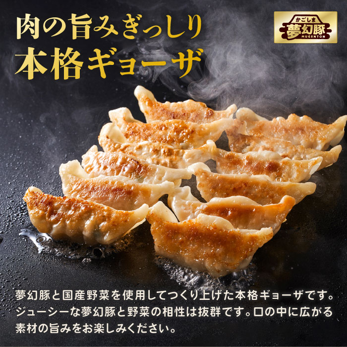 かごしま夢幻豚ギョーザ12個入×5パック 12個入×5パック