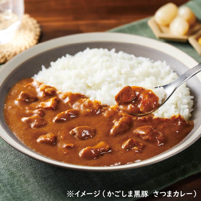 鹿児島カレー5種セット