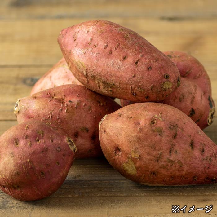 鹿児島県種子島産安納芋 5kg 5kg