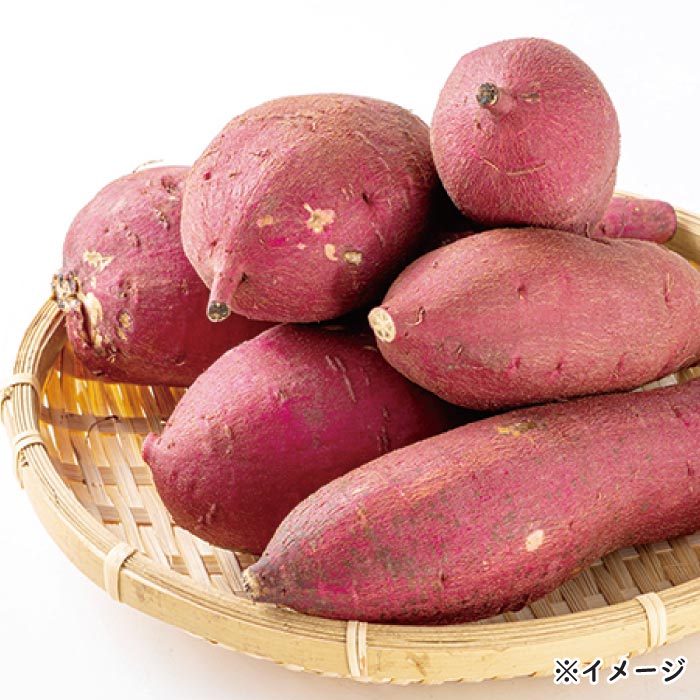 鹿児島産シルクスイート 2.5kg 2.5kg