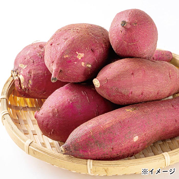鹿児島産シルクスイート 10kg 10kg