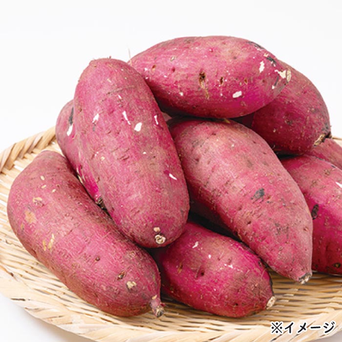 鹿児島産紅はるか10kg【熟成芋】 10kg