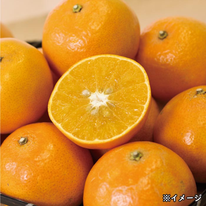 あまSUN[2kg]