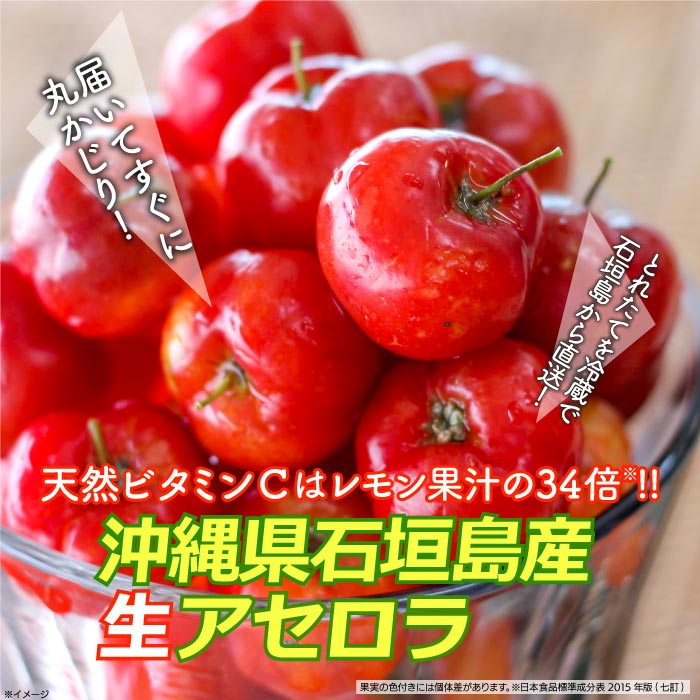 沖縄県石垣島産　生アセロラ500g 500g