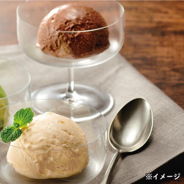 アイスクリーム2種詰め合わせ（バニラ6・チョコレート3） 2種（バニラ6個、チョコレート3個）