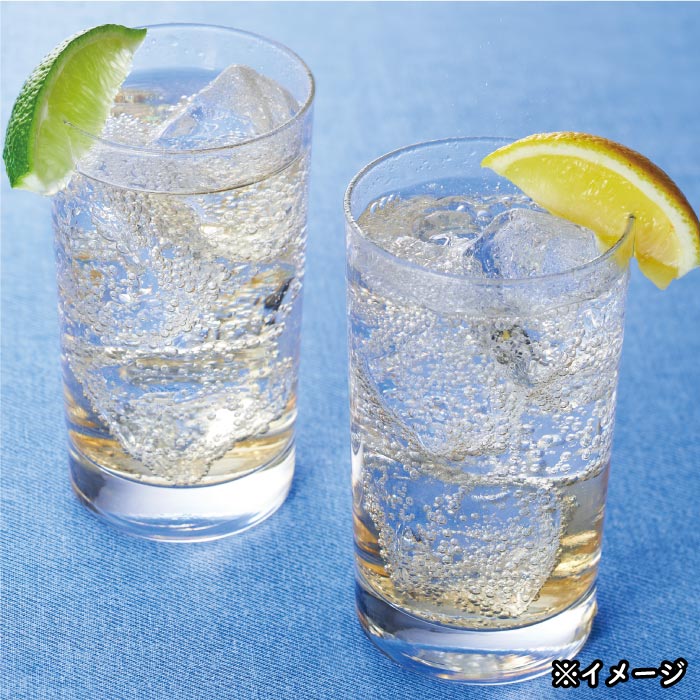 財寶温泉レモン水 500ml×24本
