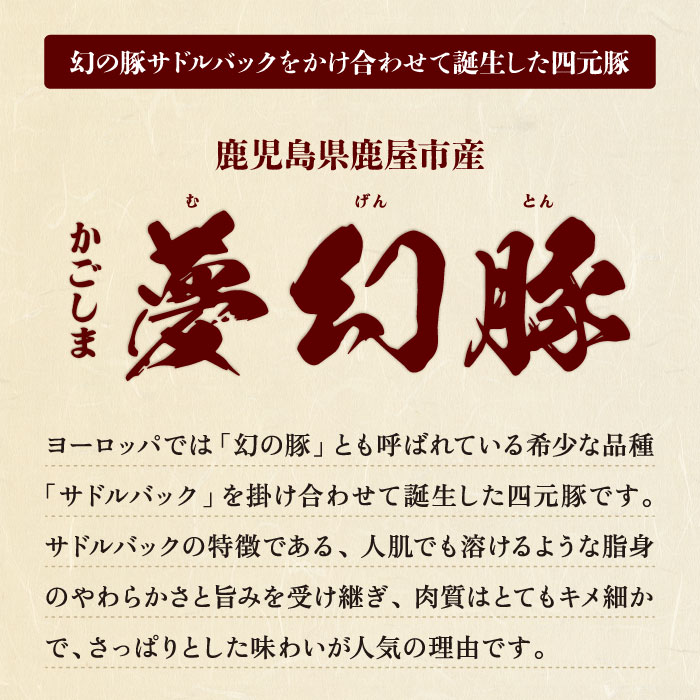 かごしま夢幻豚ギョーザ12個入×5パック 12個入×5パック