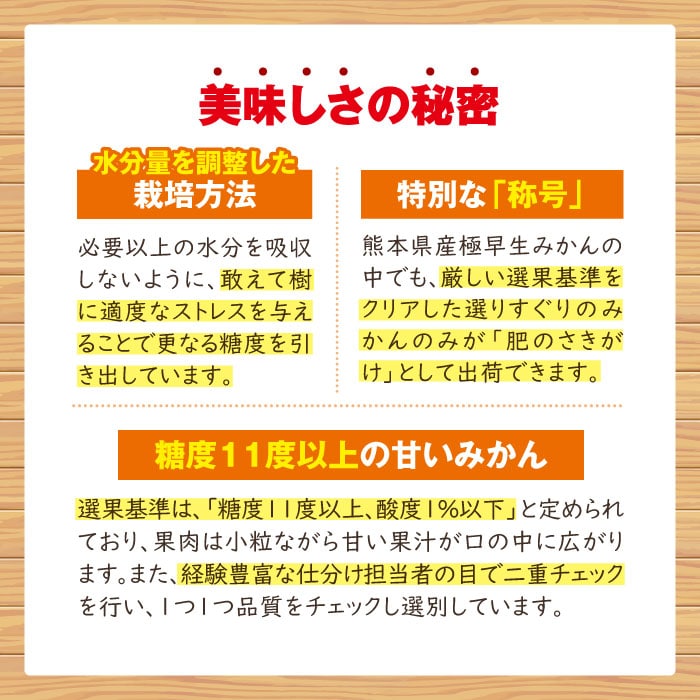 熊本産みかん 肥のさきがけ[5kg×1箱 ダンボール箱入]