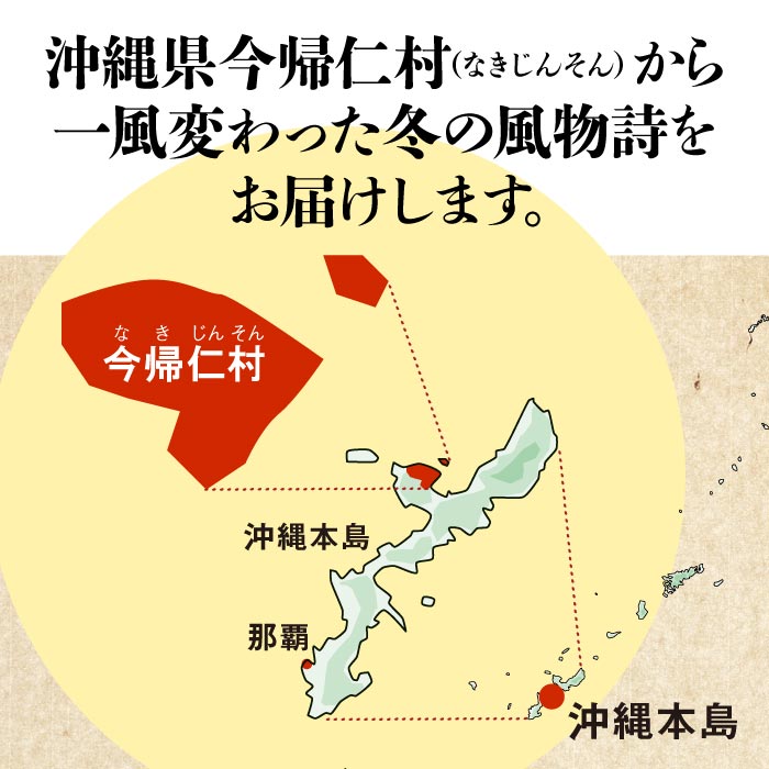 今帰仁（なきじん）すいか1玉