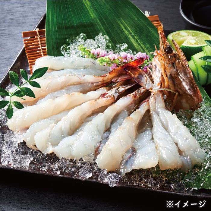 鹿児島産活き車えび[養殖]200g