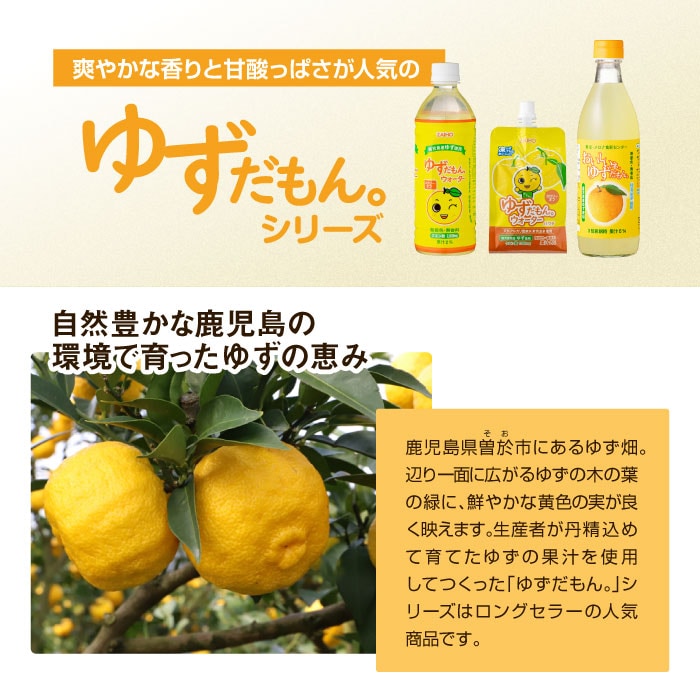 ゆずだもんウォーター　ペットボトル　500ml×24本 ペットボトル（500ml×24本）