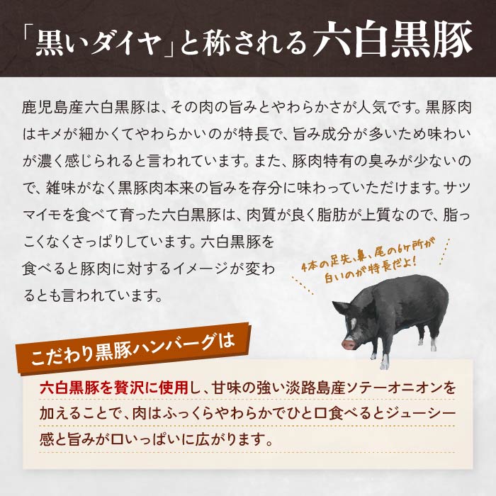 こだわり黒豚ハンバーグ3種6個セット 3種6個セット