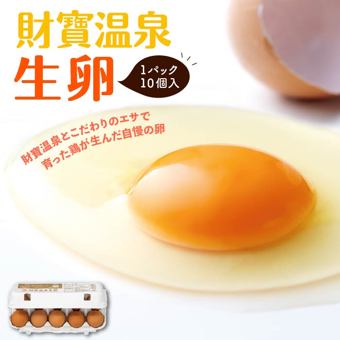 財寶温泉生卵10個×2パック 10個×2パック