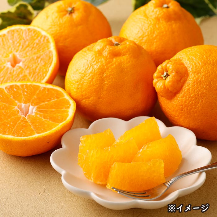 熊本県あしきた産デコポン(3kg)