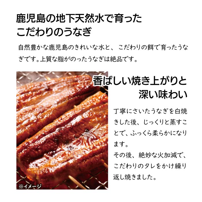 鹿児島産特大うなぎ蒲焼[養殖]3尾【ﾀﾞﾝﾎﾞｰﾙ箱】 段ボール箱入 210g×3尾（無頭）