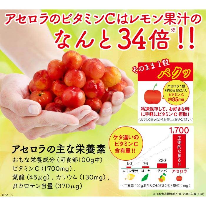 沖縄県石垣島産　生アセロラ500g 500g