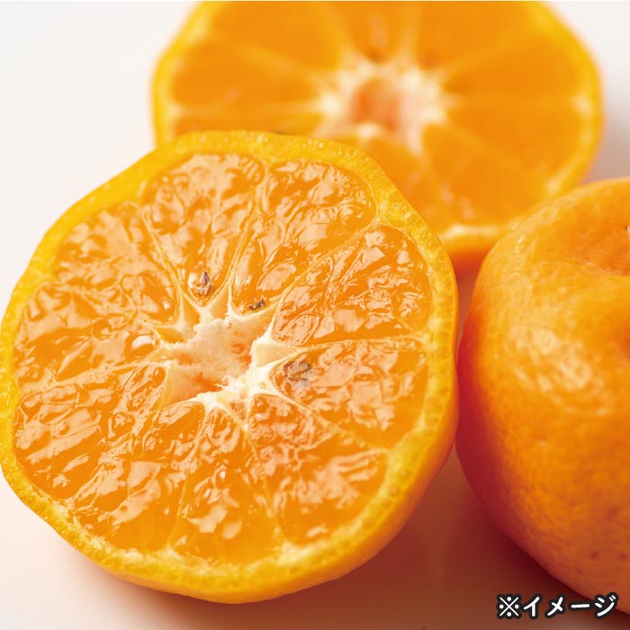 桜島小みかん(3kg) 段ボール箱入