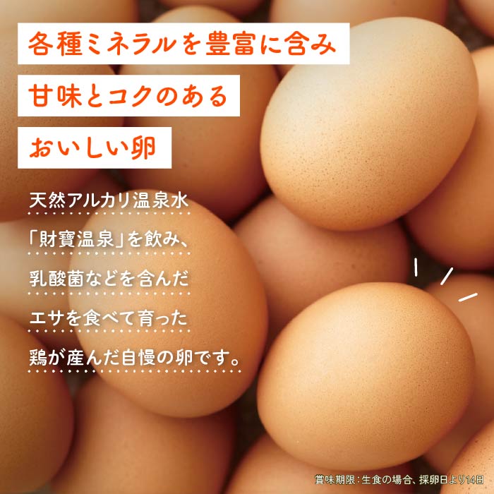 財寶温泉生卵10個×4パック 10個×4パック