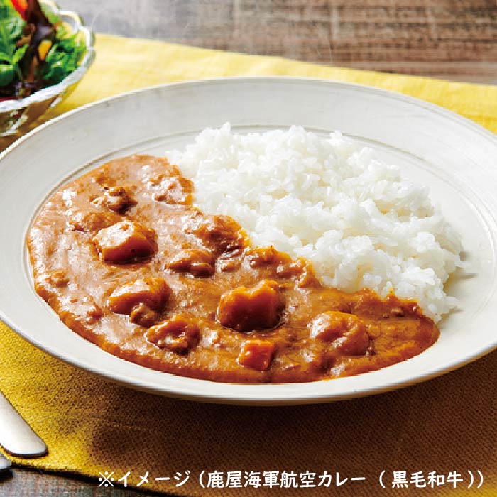 鹿児島カレー5種セット