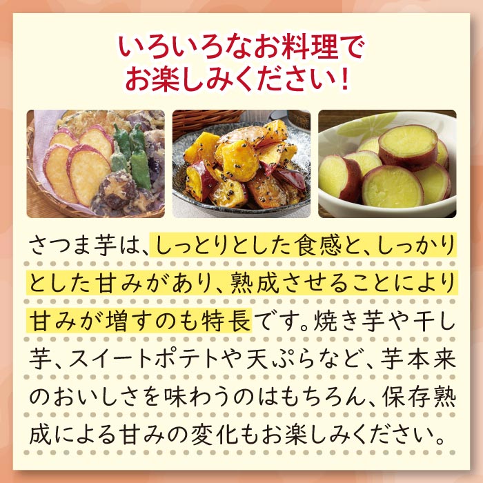鹿児島産紅はるか 2.5kg 2.5kg