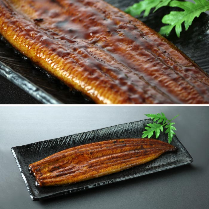 鹿児島産特大うなぎ蒲焼[養殖]6尾【ﾀﾞﾝﾎﾞｰﾙ箱】 段ボール箱入 210g×6尾（無頭）