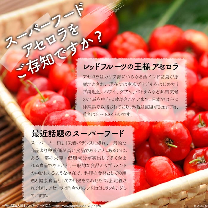 沖縄県石垣島産　生アセロラ500g 500g