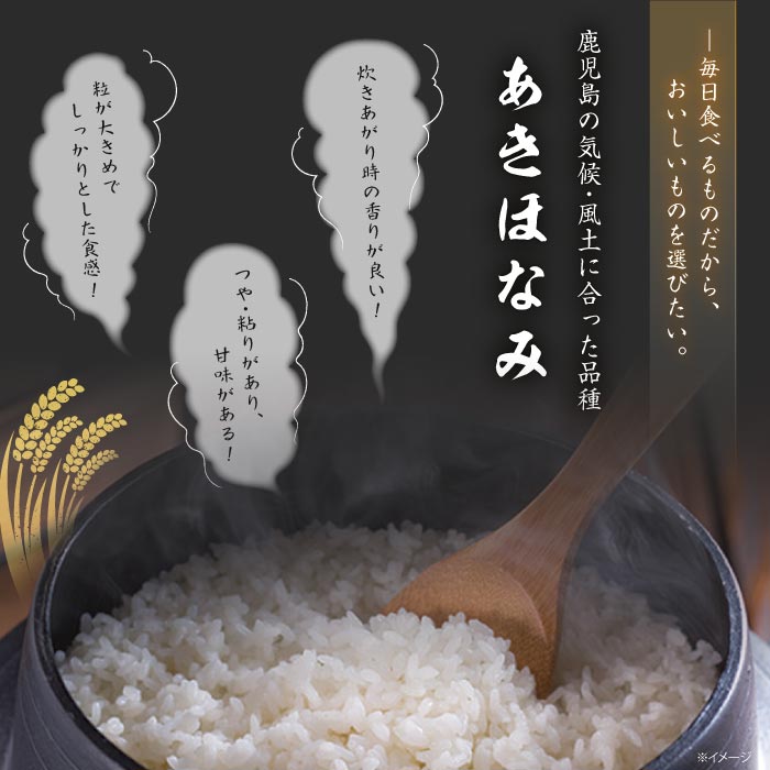 【定期】財宝米（鹿児島県北産あきほなみ・無洗米）5ｋｇ 無洗米