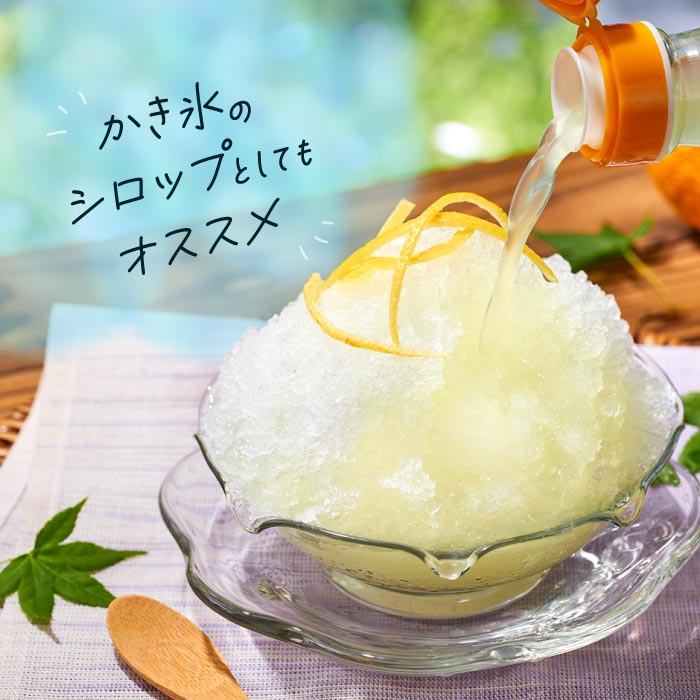 おいしいネ。ゆずだもん。希釈タイプ500ml×6本 希釈タイプ（500ml×6本）