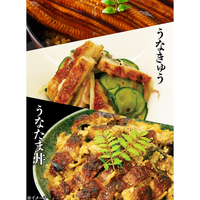 鹿児島産大うなぎ蒲焼[養殖]3尾【ﾀﾞﾝﾎﾞｰﾙ箱】 段ボール箱入 170g×3尾（無頭）