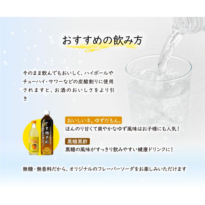 財寶温泉強炭酸水　500ml×24本