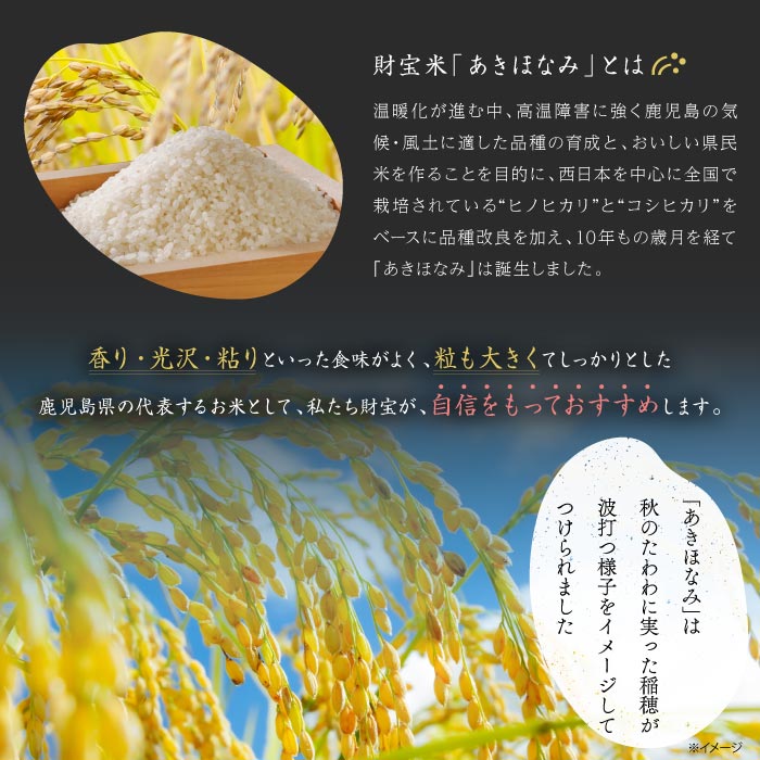 【定期】財宝米（鹿児島県北産あきほなみ・無洗米）5ｋｇ 無洗米