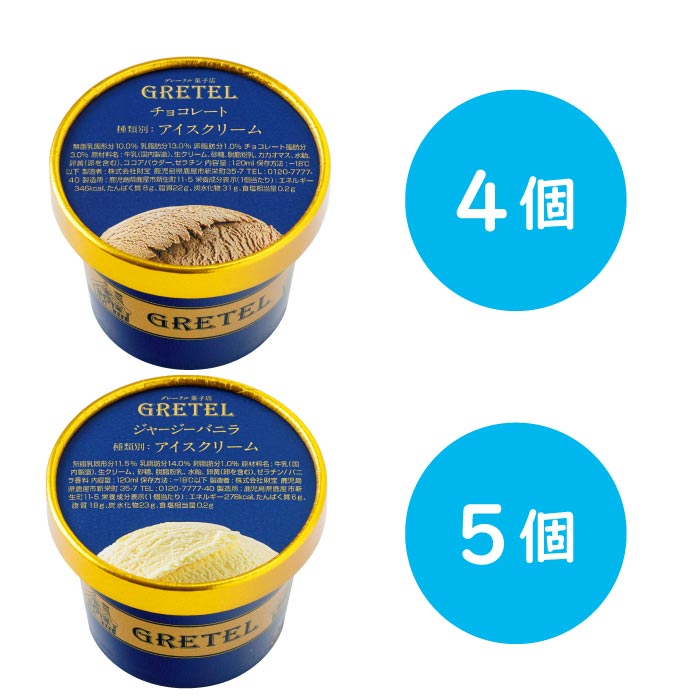 アイスクリーム2種詰め合わせ（バニラ5・チョコレート4） 2種（バニラ5個、チョコレート4個）