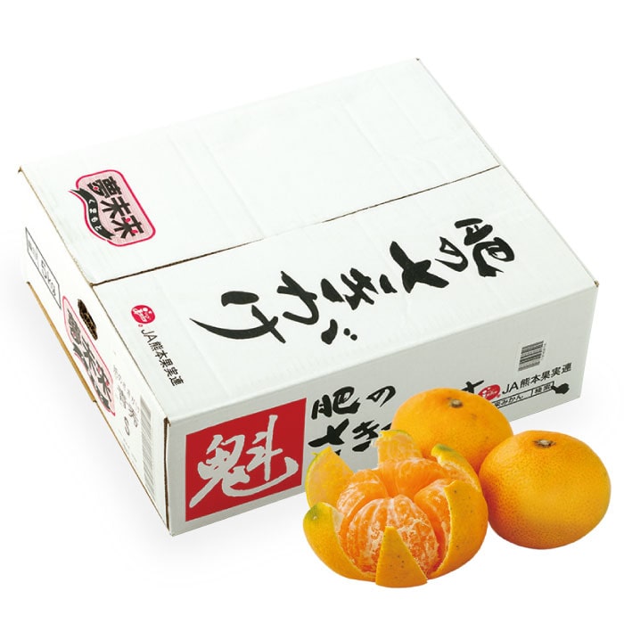 熊本産みかん 肥のさきがけ[5kg×1箱 ダンボール箱入]