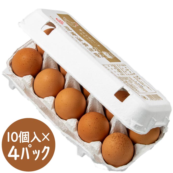 財寶温泉生卵10個×4パック 10個×4パック