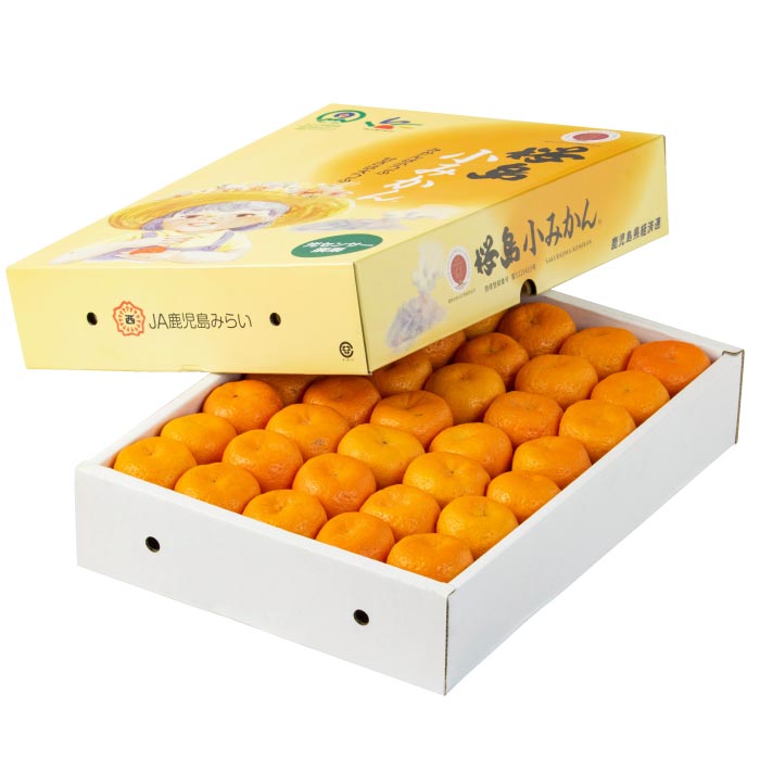 桜島小みかん(3kg)【化粧箱入】 化粧箱入