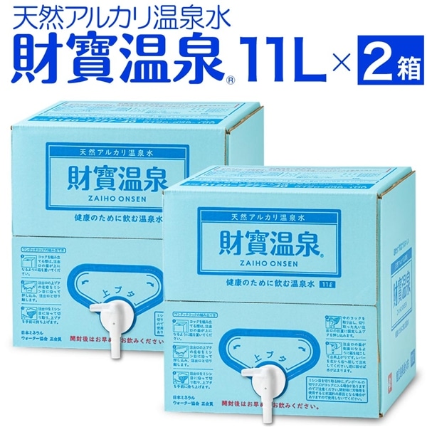 財寶温泉11L入箱×2 11L×2箱