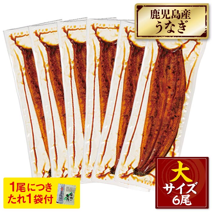 鹿児島産大うなぎ蒲焼[養殖]6尾【ﾀﾞﾝﾎﾞｰﾙ箱】 段ボール箱入 170g×6尾（無頭）