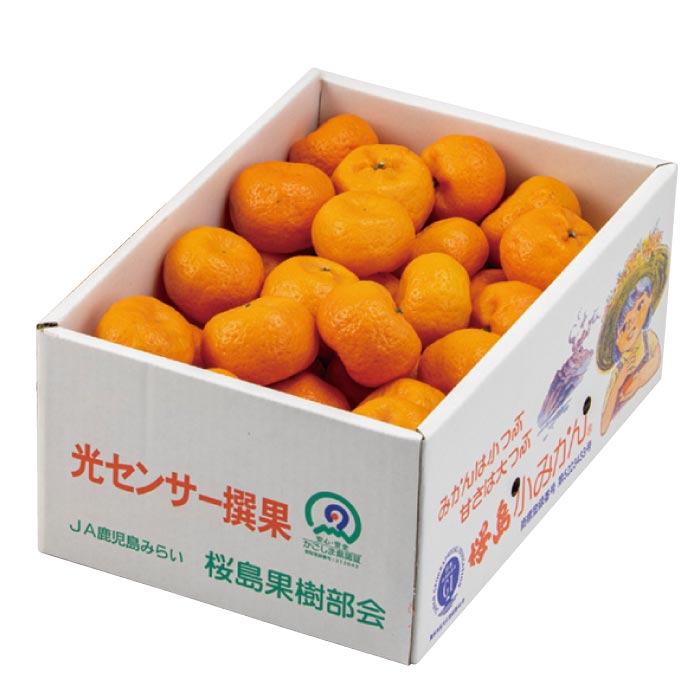 桜島小みかん(3kg) 段ボール箱入