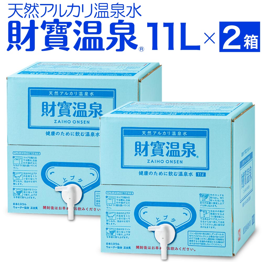 【定期】財寶温泉11L入箱×2 11L×2箱
